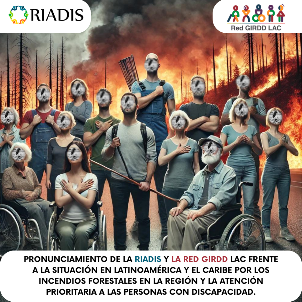 Un grupo diverso de personas con discapacidad, cuyos rostros aparecen pixelados, simbolizando la invisibilidad y la regresión de sus derechos frente a los desastres. A pesar de su unión y fortaleza, la imagen refleja cómo, en situaciones de emergencia como los incendios forestales que arden en el fondo, sus necesidades y voces son desdibujadas. El fuego y el humo en el fondo refuerzan la urgencia de garantizar su inclusión y accesibilidad, evitando que queden en el olvido.